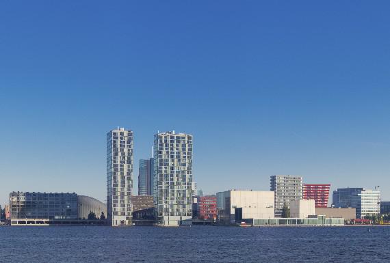 bedwantsenbestrijding-almere