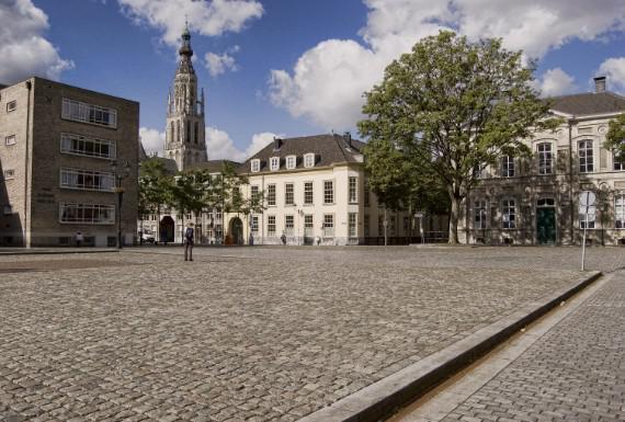 bedwantsenbestrijding-breda