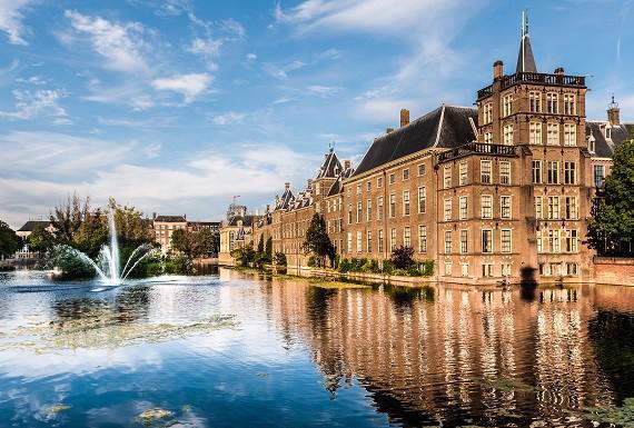 bedwantsenbestrijding-den-haag