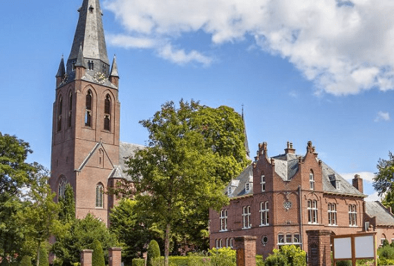 bedwantsenbestrijding-eindhoven