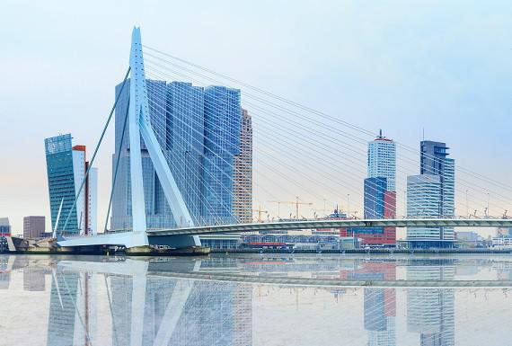 bedwantsenbestrijding-rotterdam