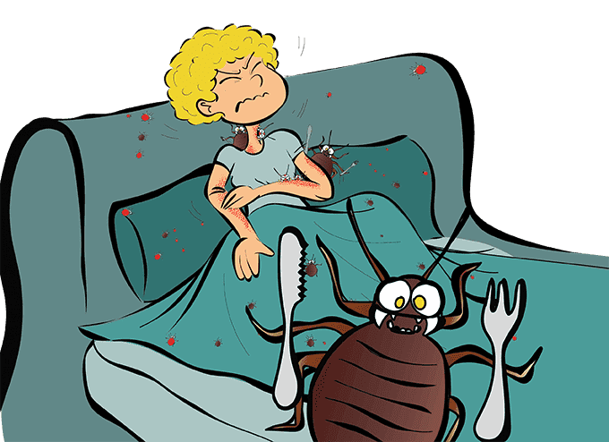 Een bedwantsenplaag?